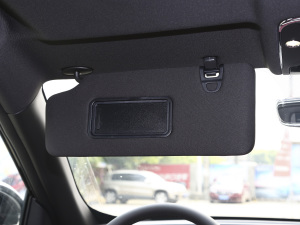 2021PLUS 1.6T DCTPRO 7 g