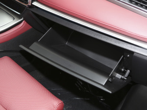 2021PLUS 1.6T DCTPRO 7 g