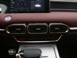 2021PLUS 1.6T DCTPRO 7 п؅^