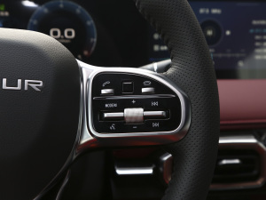 2021PLUS 1.6T DCTPRO 7 п؅^