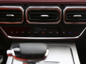 2021PLUS 1.6T DCTPRO 7 п؅^