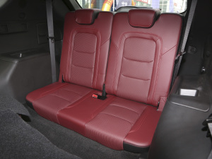 2021PLUS 1.6T DCTPRO 7 g