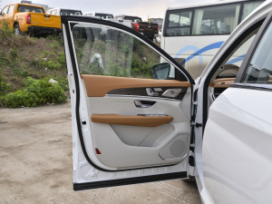2021款PLUS 诸葛版 1.6TGDI DCT卧龙 5座 驾驶位车门