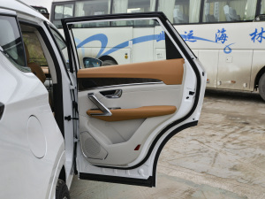 2021PLUS T 1.6TGDI DCTP 5 g