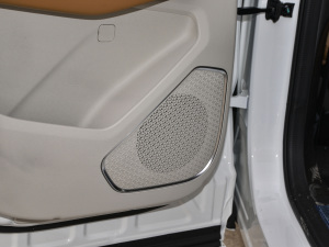 2021PLUS T 1.6TGDI DCTP 5 g