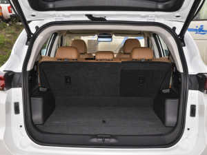 2021PLUS T 1.6TGDI DCTP 5 g