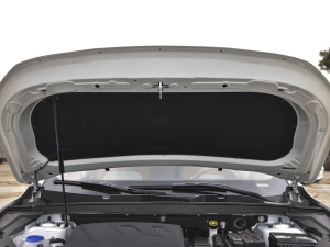 2021PLUS T 1.6TGDI DCTP 5 