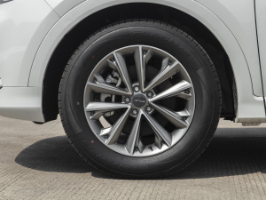 20211.5T DCTعII 5 ݆Ȧ