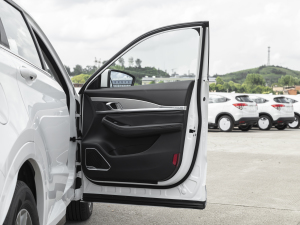 20211.5T DCTعII 5 g