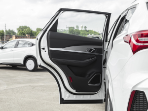 20211.5T DCTعII 5 ܇T