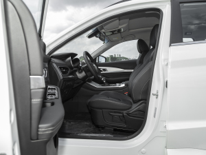 20211.5T DCTعII 5 ǰſg