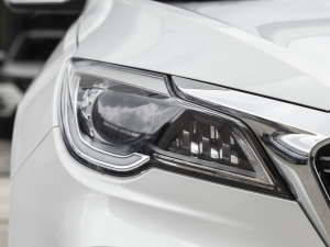 20211.5T ք(dng)عII 7 (x)(ji)^