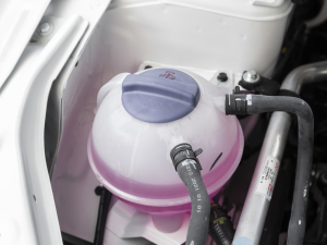 2021款1.5T 手动特供II版 7座 其它