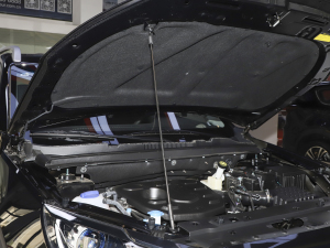 2021��M 1.5T �քӶ��л���� 5�� ����