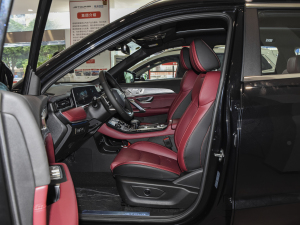 2021款PLUS 诸葛版 1.6TGDI DCT卧龙 7座 前排空间