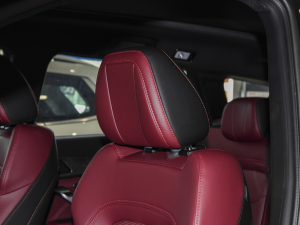 2021PLUS T 1.6TGDI DCTP 7 g