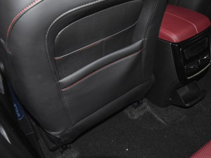 2021PLUS T 1.6TGDI DCTP 7 g