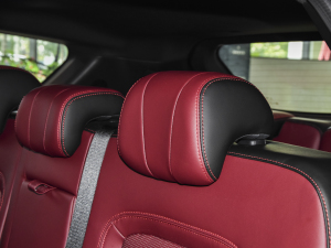 2021PLUS T 1.6TGDI DCTP 7 g