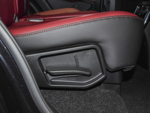 2021PLUS T 1.6TGDI DCTP 7 g