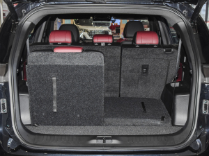 2021PLUS T 1.6TGDI DCTP 7 g