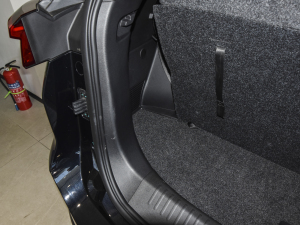 2021PLUS T 1.6TGDI DCTP 7 g