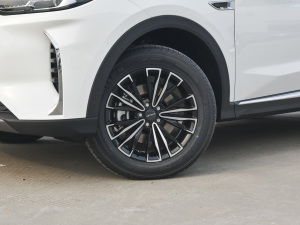 2021款PLUS 改款 1.5T DCT山PRO 5座 轮圈