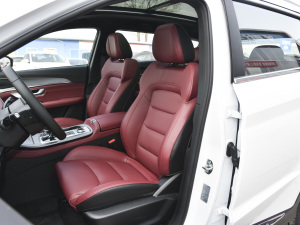 2021款PLUS 改款 1.5T DCT山PRO 5座 主驾驶座椅
