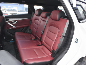 2021款PLUS 改款 1.5T DCT山PRO 5座 后排座椅