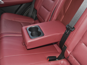 2021PLUS Ŀ 1.5T DCTɽPRO 5 