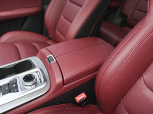 2021PLUS Ŀ 1.5T DCTɽPRO 5 