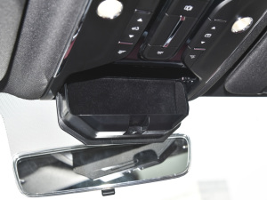 2021PLUS Ŀ 1.5T DCTɽPRO 5 g