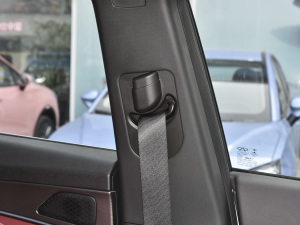 2021PLUS Ŀ 1.5T DCTɽPRO 5 g