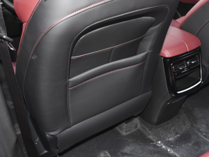 2021PLUS Ŀ 1.5T DCTɽPRO 5 g