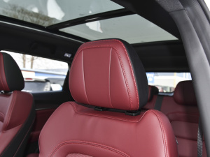 2021PLUS Ŀ 1.5T DCTɽPRO 5 g