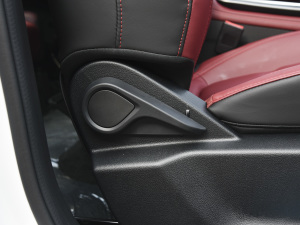 2021PLUS Ŀ 1.5T DCTɽPRO 5 g