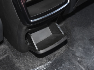 2021PLUS Ŀ 1.5T DCTɽPRO 5 g