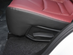 2021PLUS Ŀ 1.5T DCTɽPRO 5 g