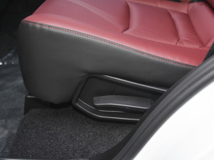 2021PLUS Ŀ 1.5T DCTɽPRO 5 g