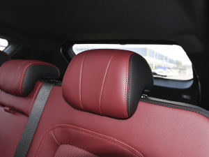 2021PLUS Ŀ 1.5T DCTɽPRO 5 g