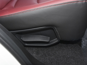 2021PLUS Ŀ 1.5T DCTɽPRO 5 g