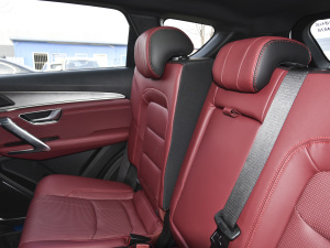 2021PLUS Ŀ 1.5T DCTɽPRO 5 g