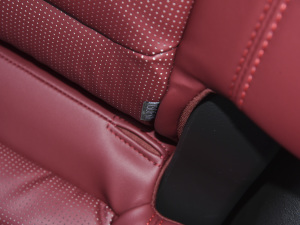 2021PLUS Ŀ 1.5T DCTɽPRO 5 g