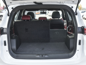 2021PLUS Ŀ 1.5T DCTɽPRO 5 g