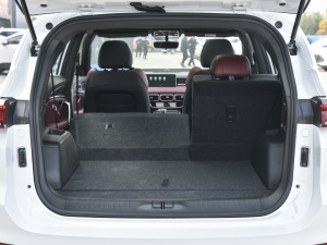 2021PLUS Ŀ 1.5T DCTɽPRO 5 g