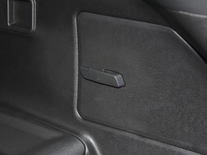 2021PLUS Ŀ 1.5T DCTɽPRO 5 g