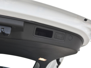 2021PLUS Ŀ 1.5T DCTɽPRO 5 g