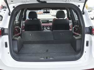 2021PLUS Ŀ 1.5T DCTɽPRO 5 g