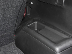 2021PLUS Ŀ 1.5T DCTɽPRO 5 g