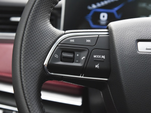 2021PLUS Ŀ 1.5T DCTɽPRO 5 п؅^