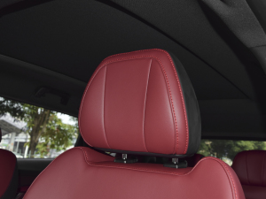 2021T 1.6T DCT܊ 7 g